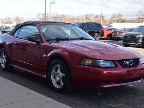 Used 2004 Ford Mustang Convertible image 11