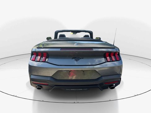 Used 2025 Ford Mustang Convertible w/ Mustang Nite Pony Package RWD image 5