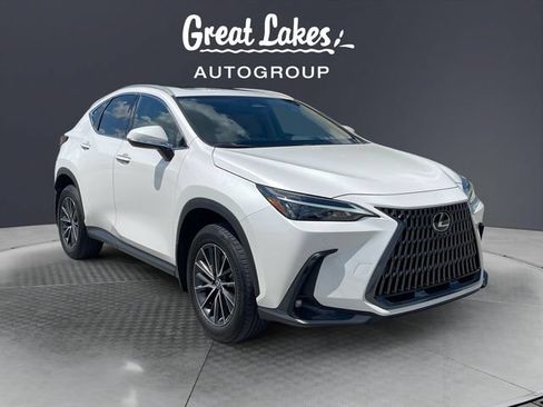 Used 2024 Lexus NX 350h AWD image 7