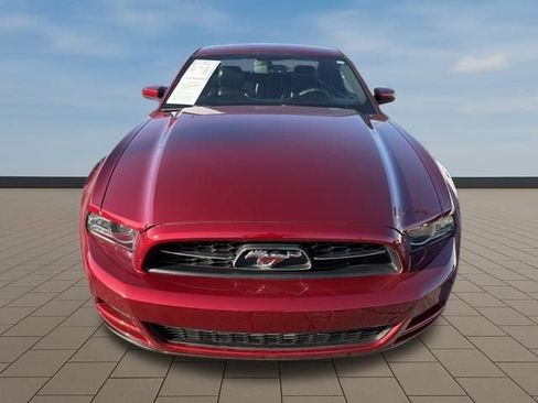 Used 2014 Ford Mustang Premium w/ Equipment Group 202A image 10