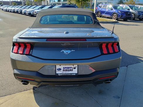 Used 2024 Ford Mustang Premium image 6