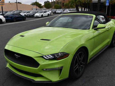 Used 2020 Ford Mustang Premium RWD image 3