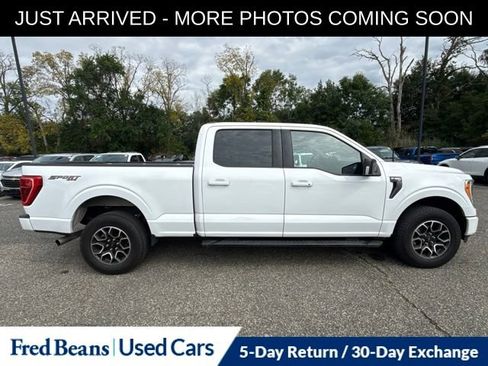 Used 2023 Ford F150 XLT w/ Equipment Group 302A High AWD/4WD image 11