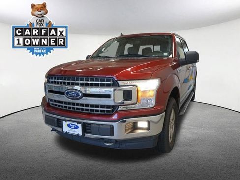 Used 2019 Ford F150 XLT w/ Equipment Group 302A Luxury AWD/4WD image 1