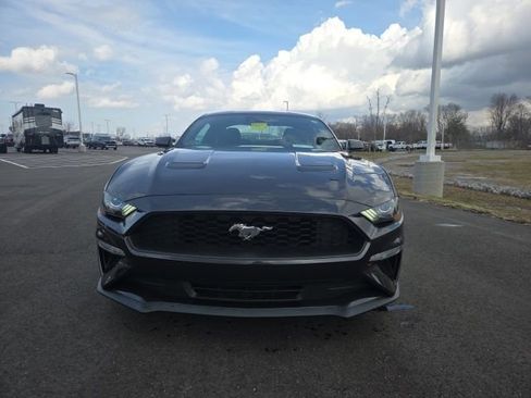 Used 2023 Ford Mustang Coupe w/ Equipment Group 101A image 4