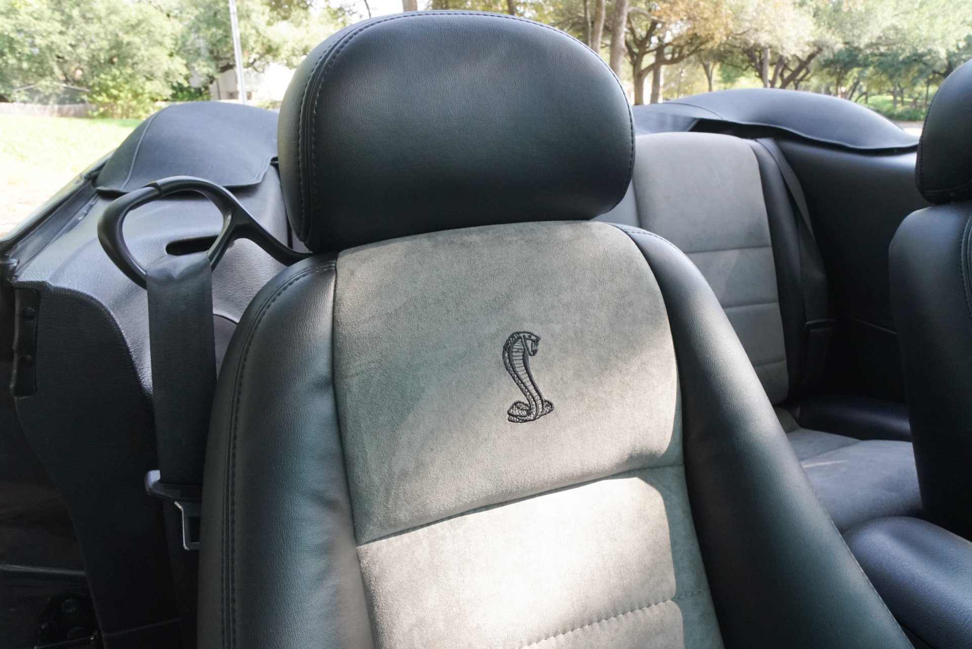 Used 2003 Ford Mustang Cobra RWD image 33