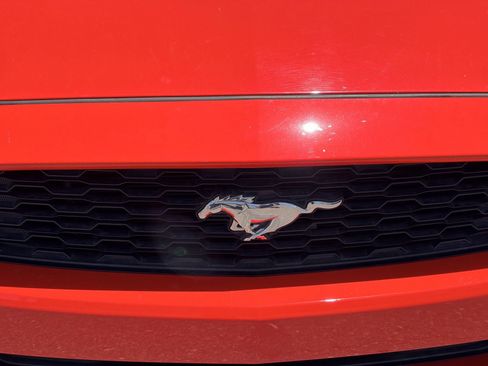 Used 2017 Ford Mustang Coupe RWD image 5