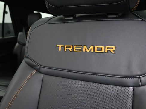 New 2025 Ford Expedition Tremor image 20