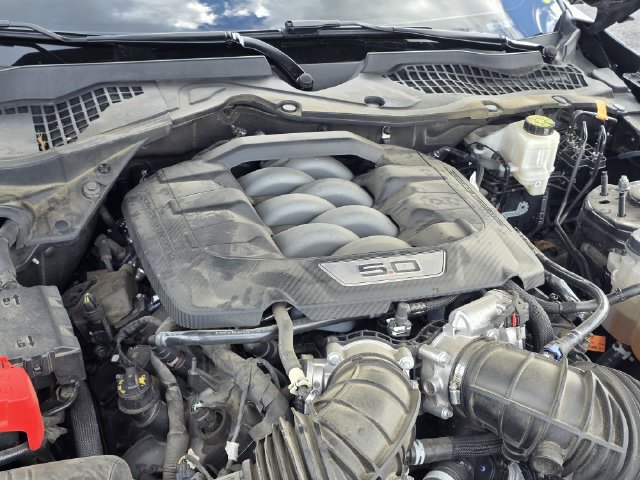 Used 2024 Ford Mustang GT w/ Mustang Nite Pony Package RWD image 32