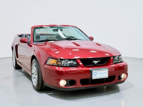 Used 2004 Ford Mustang Cobra RWD image 13