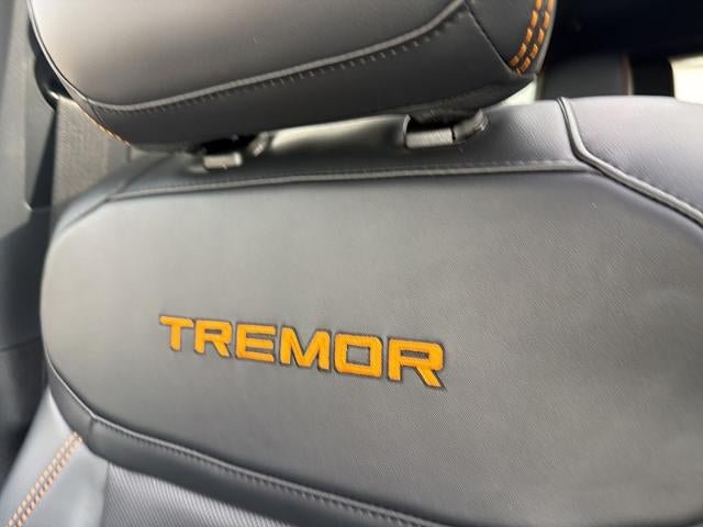Used 2025 Ford Expedition Tremor AWD/4WD image 38