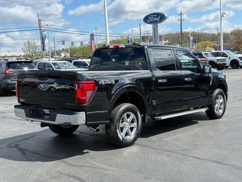 Used 2025 Ford F150 XLT w/ Equipment Group 301A Standard AWD/4WD image 5