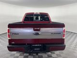 Used 2013 Ford F150 Platinum image 6