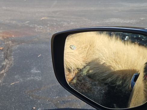 Used 2020 Subaru Outback Limited image 19