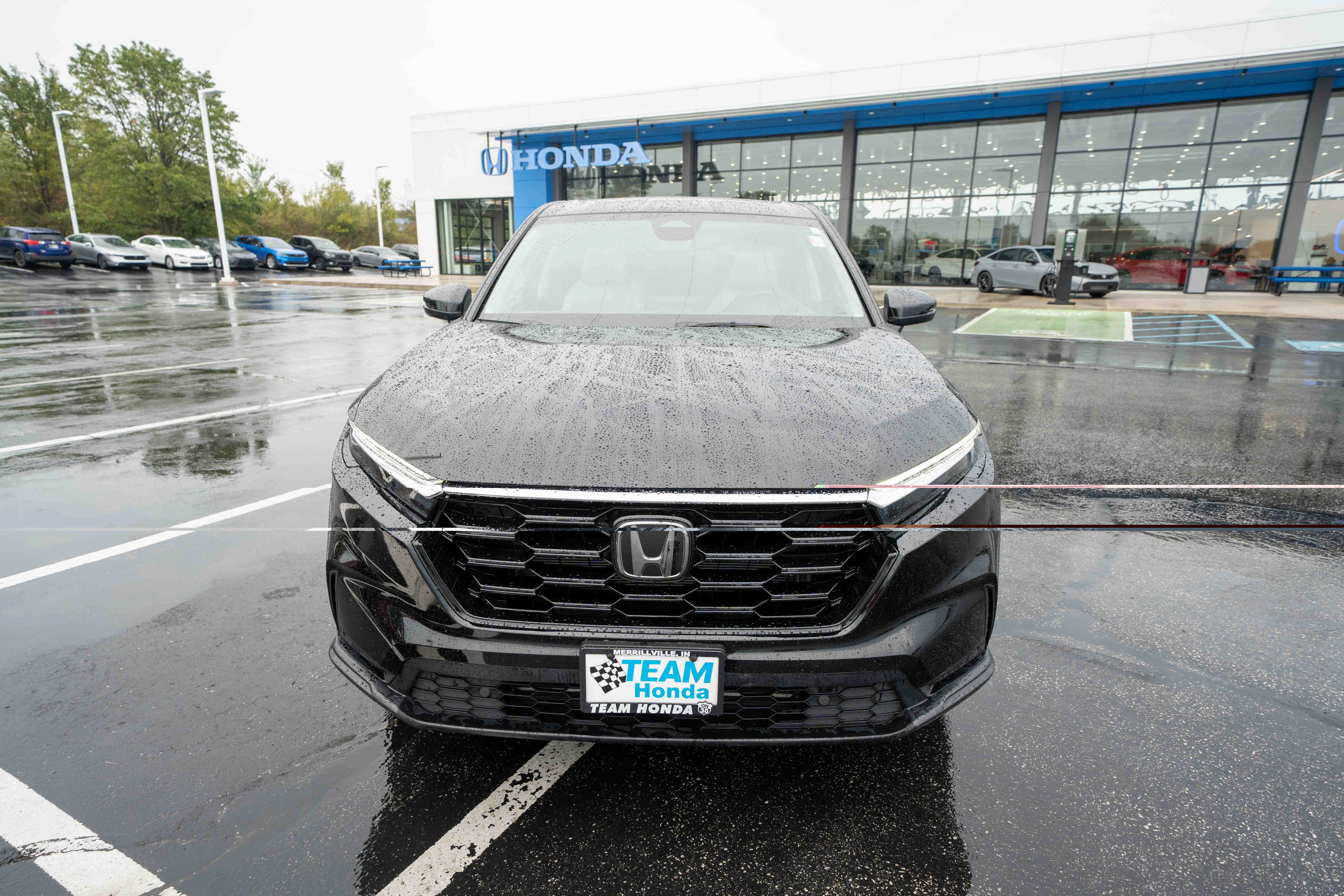 Certified 2025 Honda CR-V EX-L image 2
