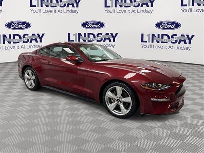 Certified 2019 Ford Mustang Coupe w/ Equipment Group 101A