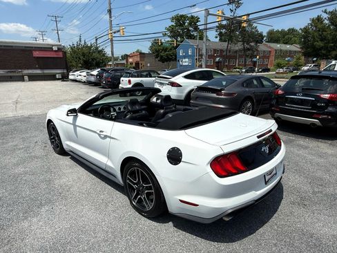 Used 2019 Ford Mustang Premium image 22