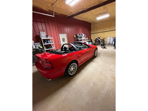 Used 2004 Ford Mustang Cobra image 2