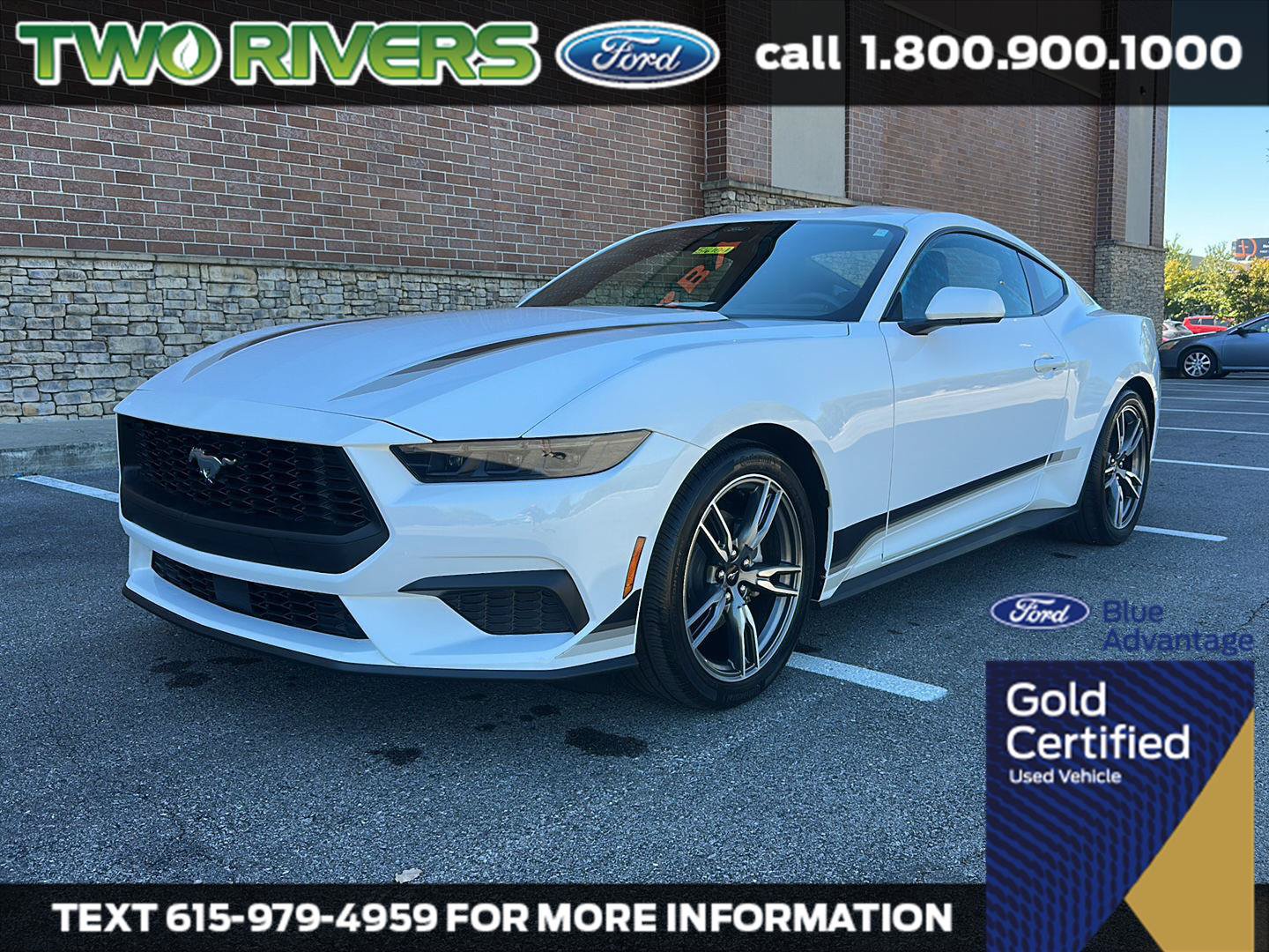 Certified 2025 Ford Mustang Coupe w/ Wheel & Stripe Package RWD image 1