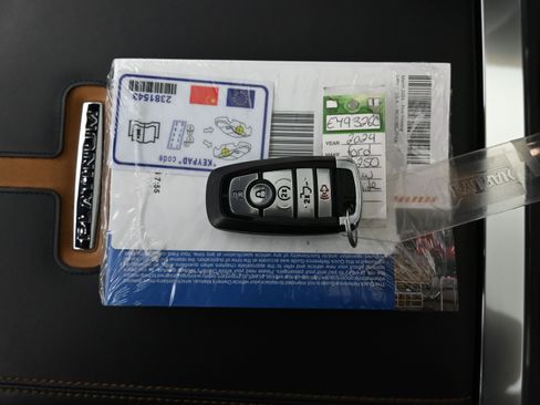 Used 2024 Ford F250 Platinum w/ Tremor Off-Road Package image 20