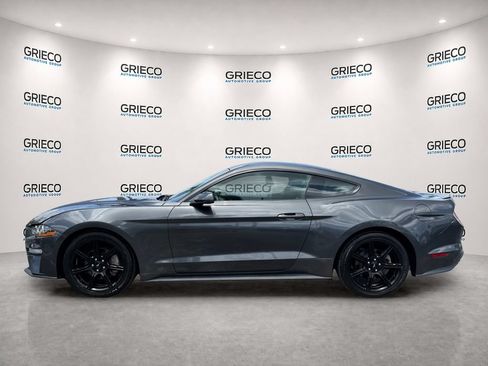 Used 2019 Ford Mustang Premium w/ Equipment Group 201A RWD image 4