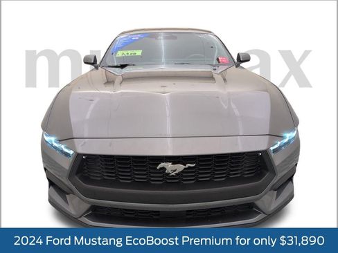 Certified 2024 Ford Mustang Premium image 16