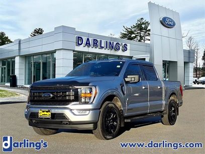 Used 2023 Ford F150 XLT w/ Equipment Group 302A High