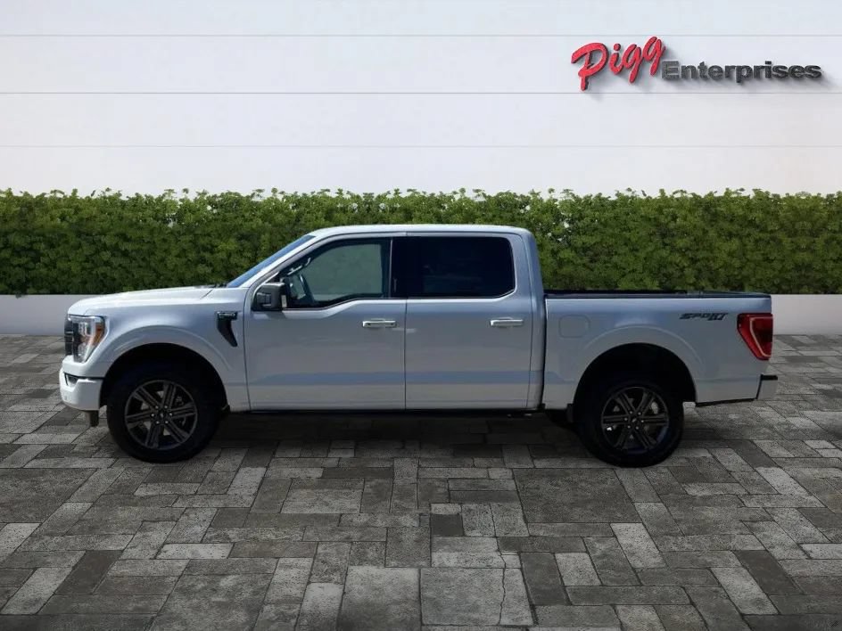 Used 2022 Ford F150 XLT w/ Equipment Group 302A High AWD/4WD image 3