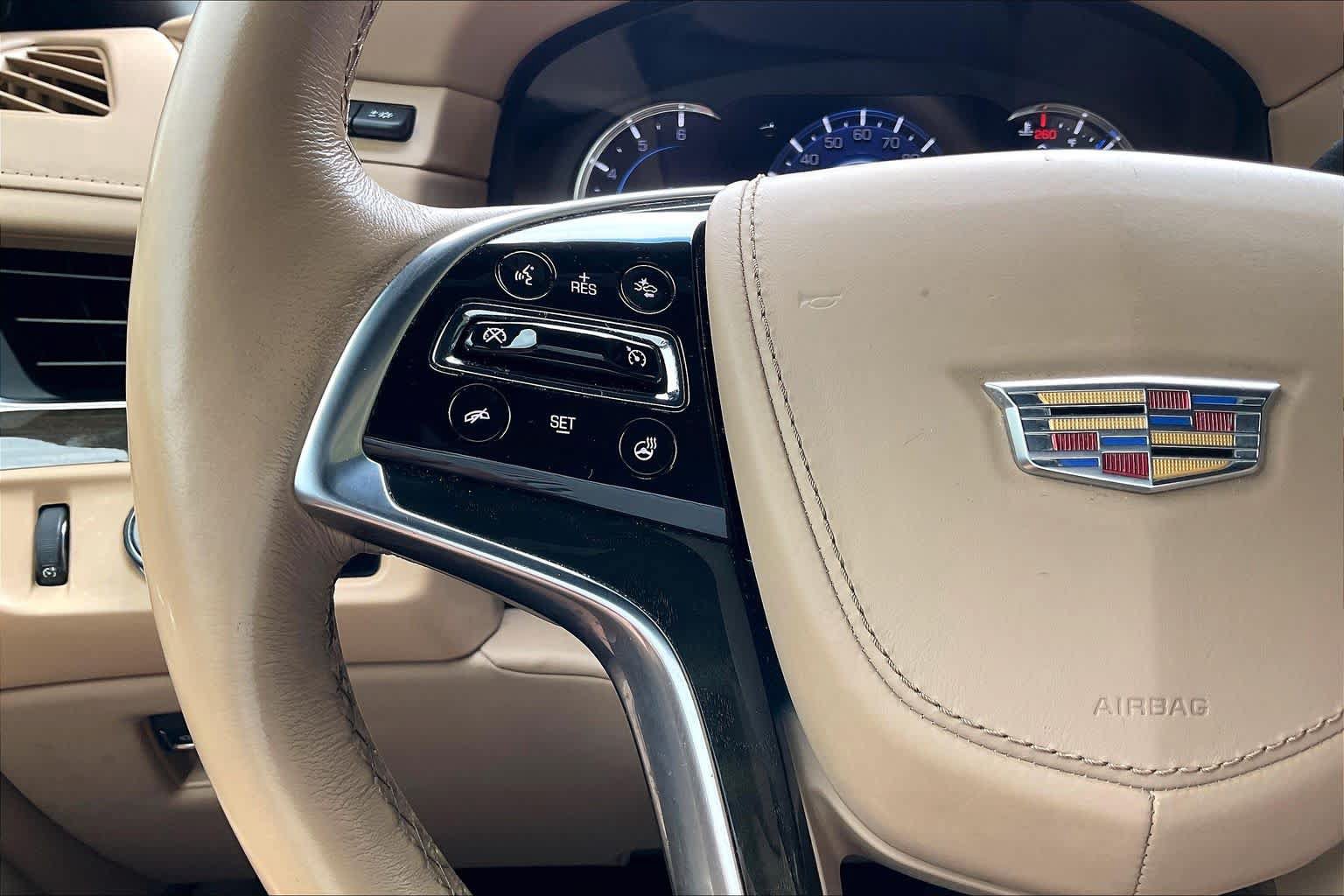 Used 2019 Cadillac Escalade Platinum RWD image 18