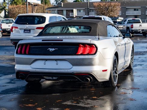 Used 2019 Ford Mustang Premium image 7