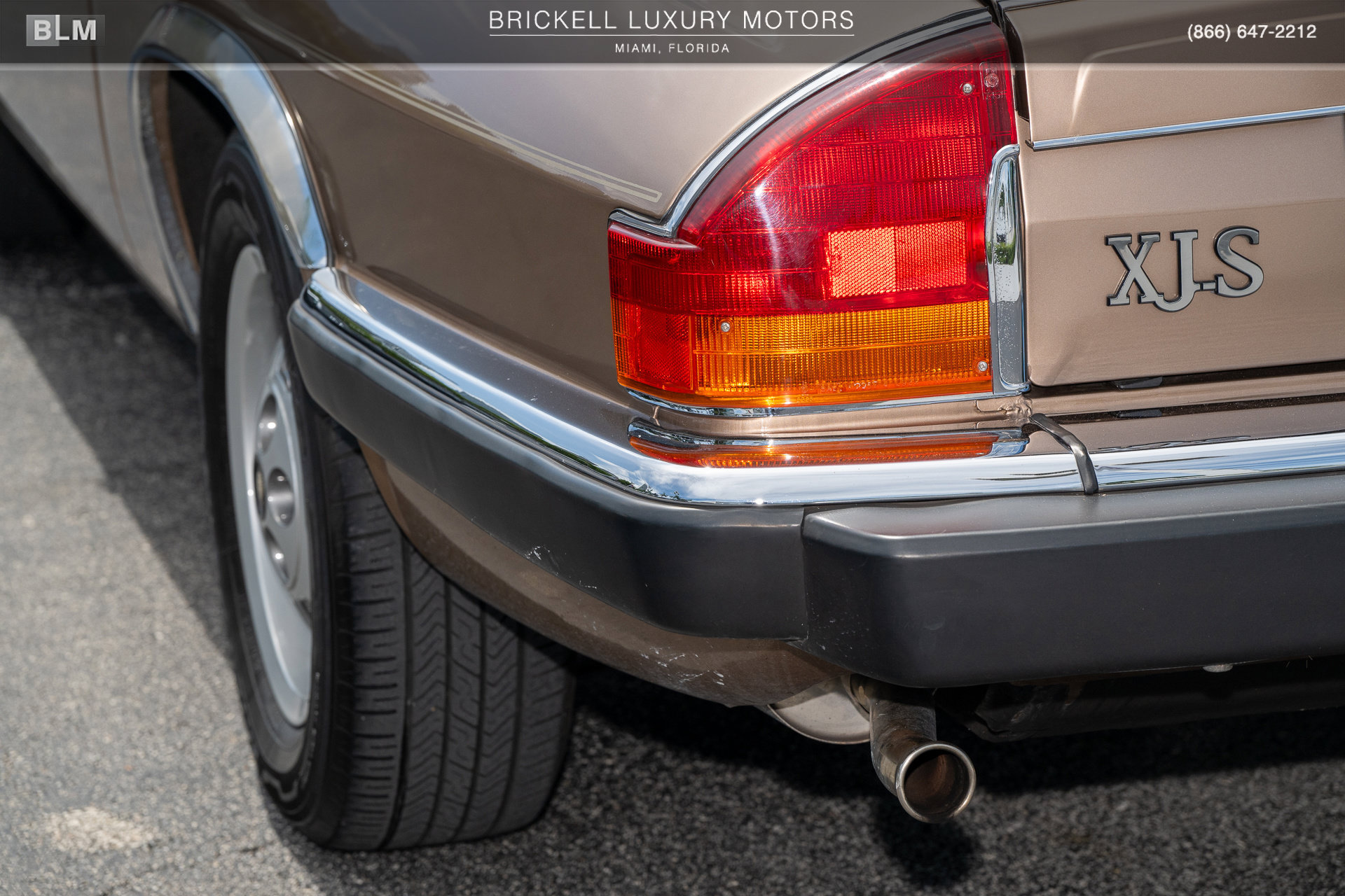 Used 1987 Jaguar XJS V12 Coupe RWD image 50