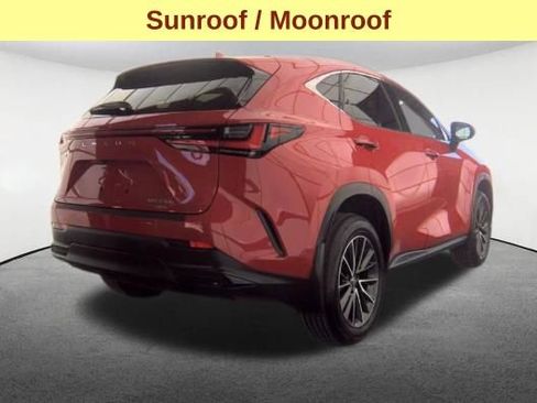 Used 2024 Lexus NX 350h AWD image 5