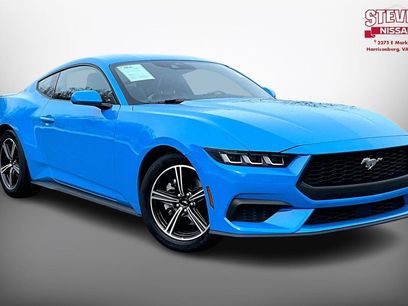 Used 2024 Ford Mustang Premium