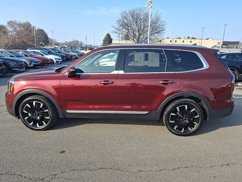 Used 2023 Kia Telluride SX image 7