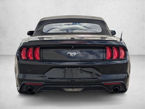 Used 2019 Ford Mustang EcoBoost w/ Equipment Group 101A image 5