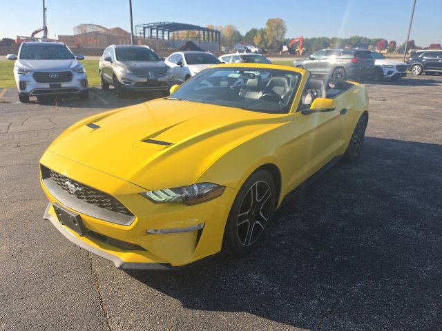 Used 2018 Ford Mustang Premium w/ Equipment Group 201A RWD image 3
