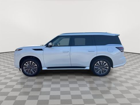 Certified 2025 INFINITI QX80 Sensory image 8