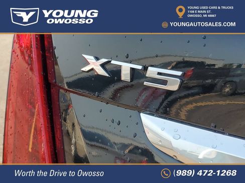 Used 2023 Cadillac XT5 Premium Luxury AWD/4WD image 33