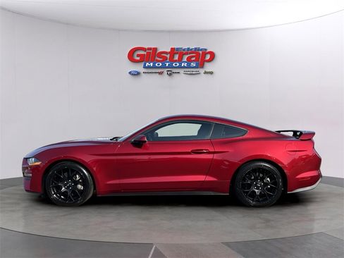 Used 2019 Ford Mustang Coupe w/ Ecoboost Performance Package image 3