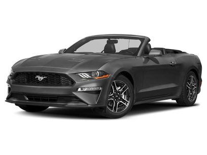 Used 2019 Ford Mustang Premium w/ Equipment Group 201A