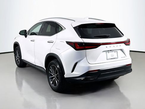 Certified 2025 Lexus NX 250 250 Premium image 7