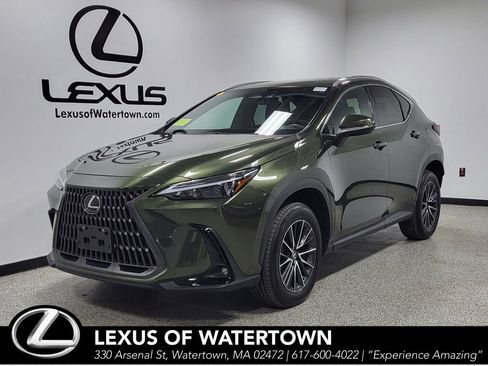 Certified 2024 Lexus NX 350h AWD w/ Cold Area Package image 1