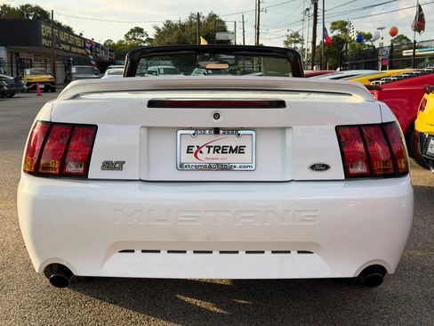 Used 1999 Ford Mustang Cobra RWD image 5