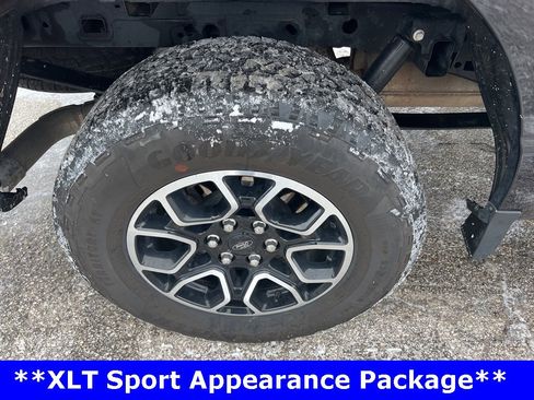 Used 2023 Ford F150 XLT w/ Equipment Group 302A High image 14