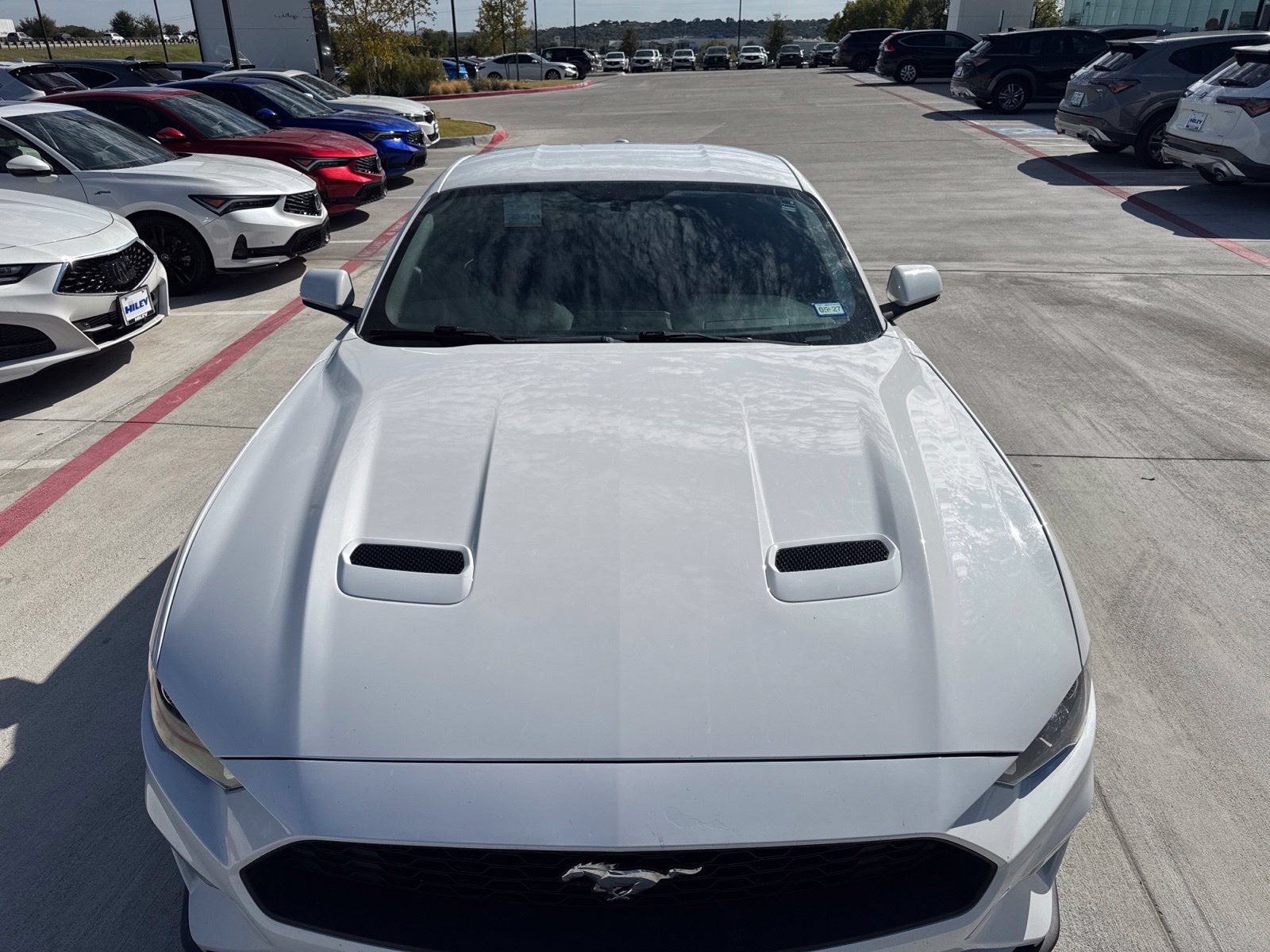 Used 2019 Ford Mustang Coupe w/ Equipment Group 101A RWD image 3