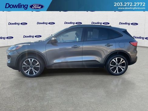 Used 2022 Ford Escape SE w/ SE Sport Appearance Package image 5