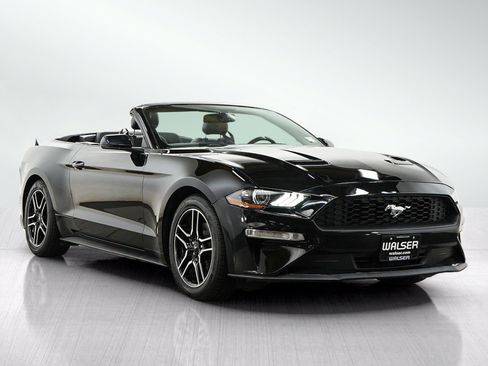 Used 2018 Ford Mustang Premium w/ Equipment Group 201A RWD image 7