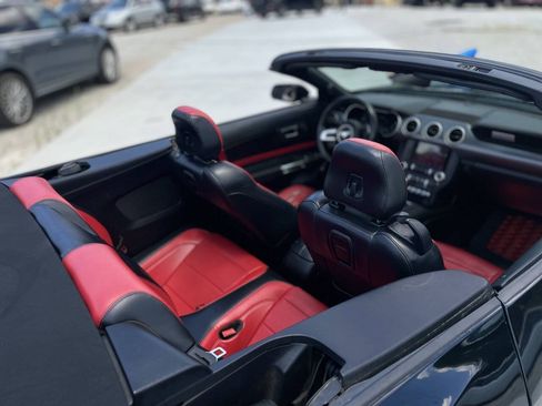 Used 2019 Ford Mustang Premium w/ Equipment Group 201A RWD image 24