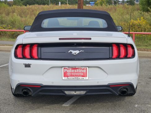 Used 2023 Ford Mustang Premium image 4