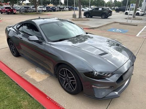 Used 2022 Ford Mustang Coupe w/ Equipment Group 101A RWD image 1